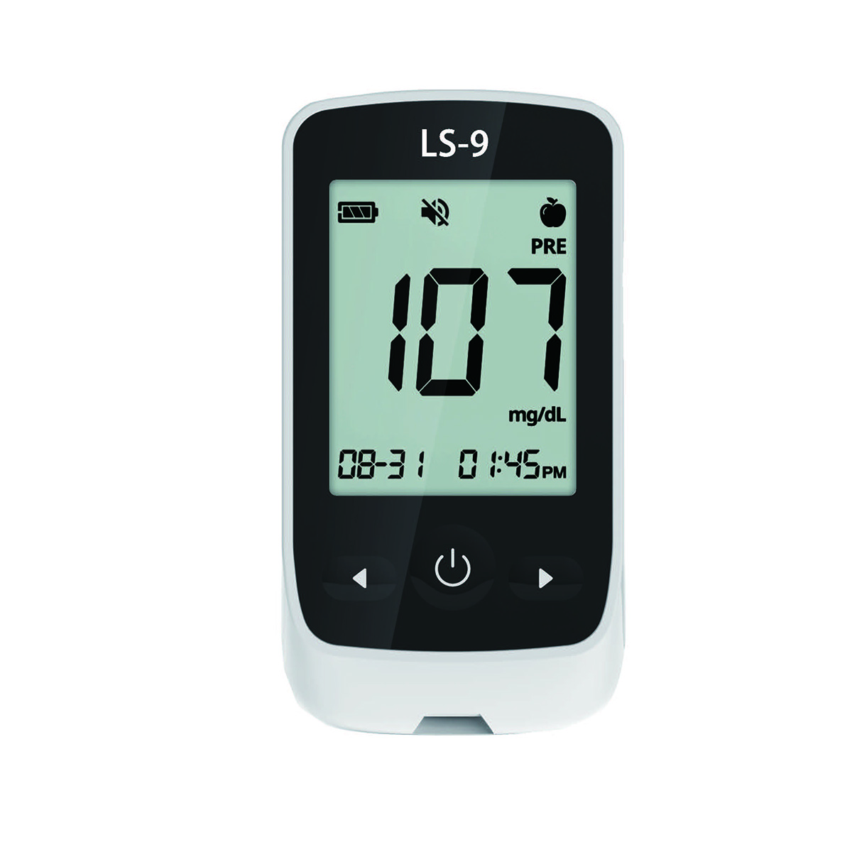 Blood Glucose Monitoring System